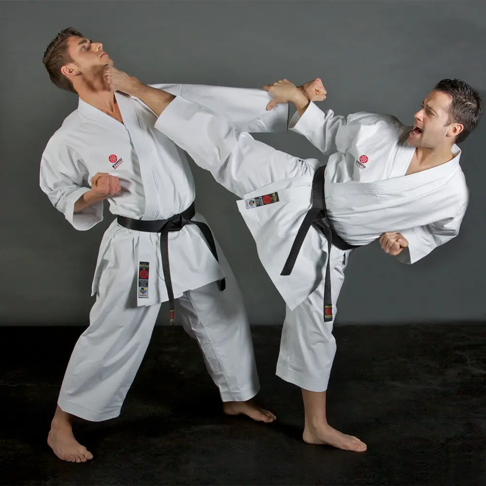 The Best and the Most Deadly Martial Arts You Must know About! – BMS