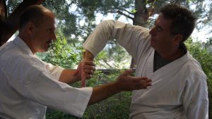 Martial Arts in Temecula: Greenwood Aikido